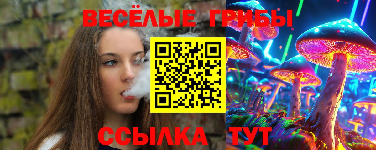 Галлюциногенные грибы мухоморы  Вход с VPN  Владимир 